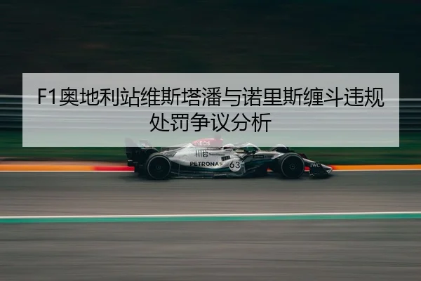 ao-di-li-zhan-wei-si-ta-pan-yu-nuo-li-si-chan-dou-wei-gui-chu-fa-zheng-yi-fen-xi-2-293.jpg