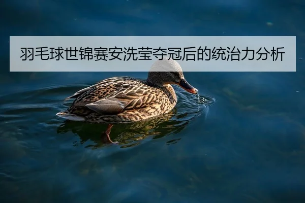 羽毛球世锦赛安洗莹夺冠后的统治力分析
